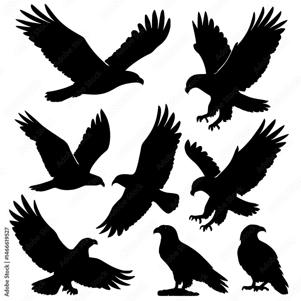 Fototapeta premium Eagle Silhouettes Vector Set – Flying, Landing, Perched – Black on White Background 
