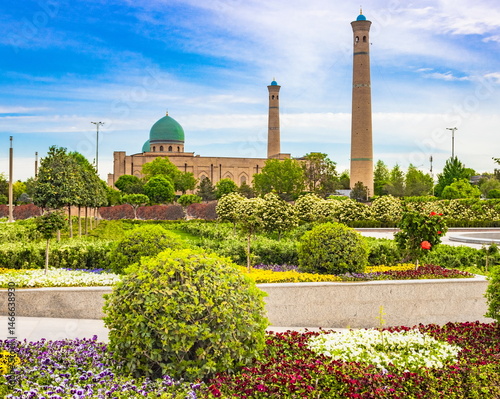 Parks of Tashkent. Spring landscape of a public park. Uzbekistan.