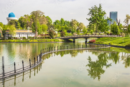 Parks of Tashkent. Spring landscape of a public park. Uzbekistan.