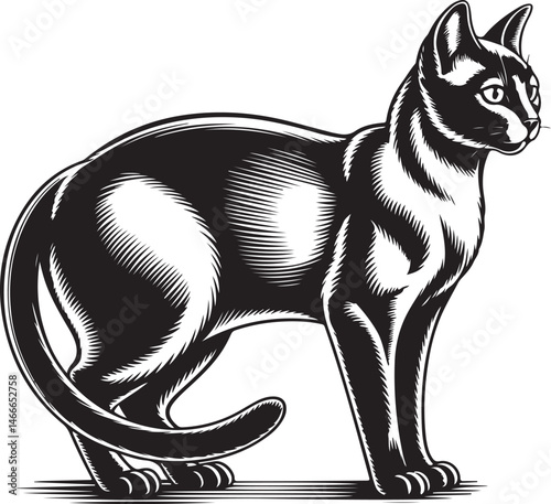 Cat Silhouette Vector – Elegant and Cute Pet Design

Minimalist Cat SVG – Sitting, Walking & Playing Poses

Cute Cat Clipart – Perfect for Pet Lovers & Decor

Black Cat Outline – Stylish Feline Silhou