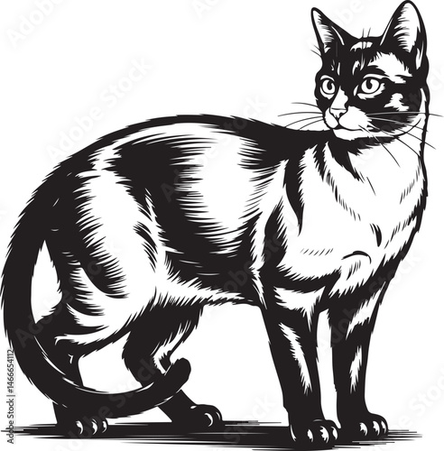 Cat Silhouette Vector – Elegant and Cute Pet Design

Minimalist Cat SVG – Sitting, Walking & Playing Poses

Cute Cat Clipart – Perfect for Pet Lovers & Decor

Black Cat Outline – Stylish Feline Silhou