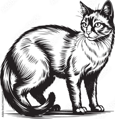 Cat Silhouette Vector – Elegant and Cute Pet Design

Minimalist Cat SVG – Sitting, Walking & Playing Poses

Cute Cat Clipart – Perfect for Pet Lovers & Decor

Black Cat Outline – Stylish Feline Silhou