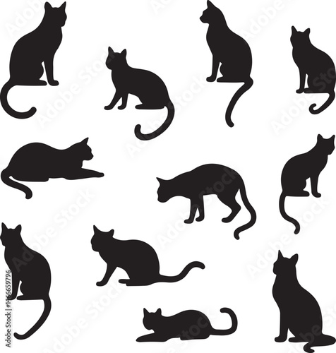 Cat Silhouette Vector – Elegant and Cute Pet Design

Minimalist Cat SVG – Sitting, Walking & Playing Poses

Cute Cat Clipart – Perfect for Pet Lovers & Decor

Black Cat Outline – Stylish Feline Silhou