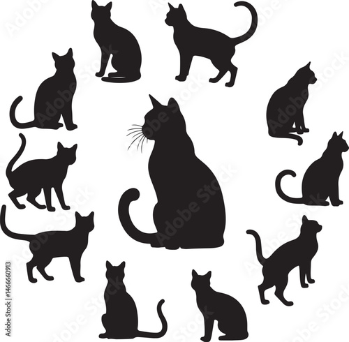 Cat Silhouette Vector – Elegant and Cute Pet Design

Minimalist Cat SVG – Sitting, Walking & Playing Poses

Cute Cat Clipart – Perfect for Pet Lovers & Decor

Black Cat Outline – Stylish Feline Silhou
