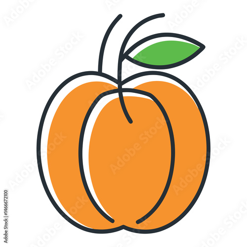 vector illustration of orange fruit