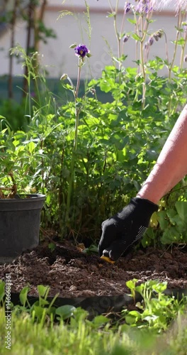 Gardener using trowel, planting in garden bed