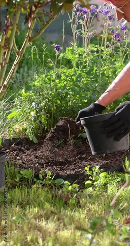 Gardener planting in garden pot