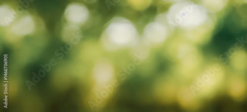 Wallpaper Mural Abstract blurred background featuring green and yellow colors with bokeh effect. Torontodigital.ca