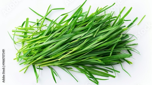 Fresh green cut wild grass isolated on white background with texture top view