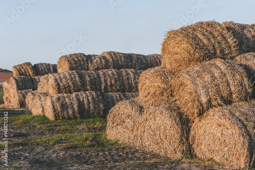 Large stacks of hay stacked on top of each other in a field.