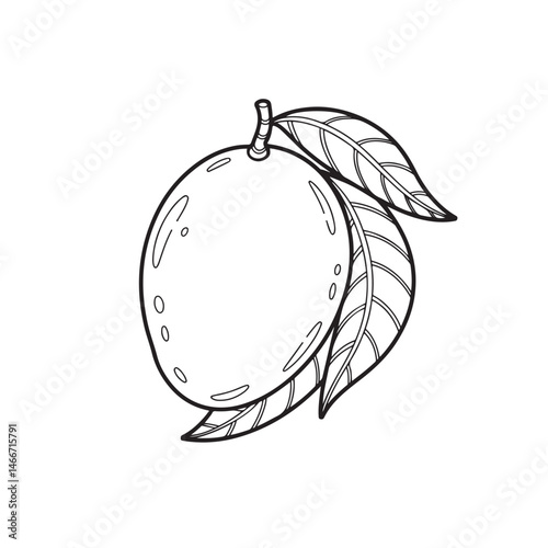 Coloring page of a ripe mango with leaves, perfect for fruit and nature-related content.