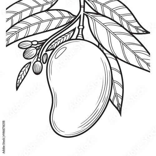 Coloring page of a ripe mango with leaves, perfect for fruit and nature-related content.