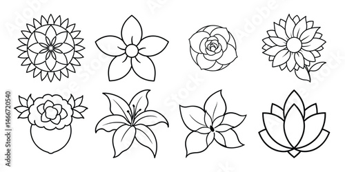 Diverse flower outline illustrations line art set