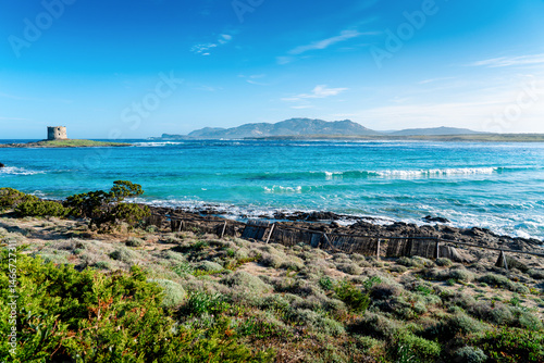 Fototapeta Naklejka Na Ścianę i Meble -  Rocky coast of the Mediterranean Sea with clear water in Italy on Sardinia. Famous beach La Pelosa. A popular holiday destination in the south of Europe.	

