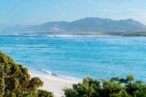 Fototapeta Naklejka Na Ścianę i Meble -  View of the island of Asinara in Sardinia. Stintino, province of Sassari, Europe. White beaches and turquoise Mediterranean sea.