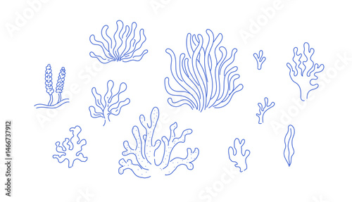 Set of edible algae. Hand drawn illustration of underwater sea plants.