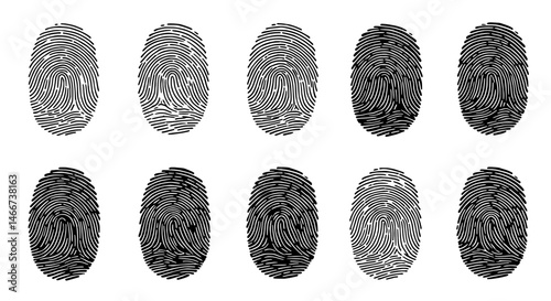 Fingerprint Patterns: Ten unique fingerprint impressions, precisely captured, showcasing the intricate details of individual biometric identification.