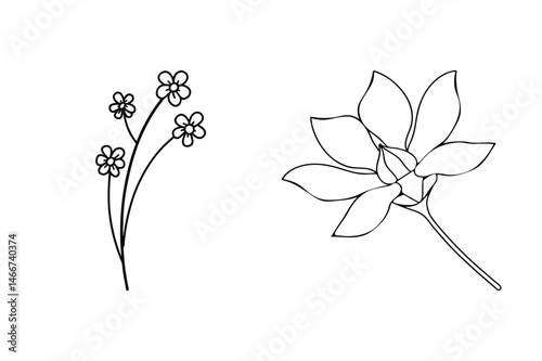 Simple black and white floral vector illustration depicting two delicate blooming flower arrangements