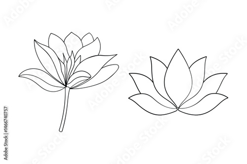 Elegant botanical outlines of lotus flowers in black and white suitable for various design projects