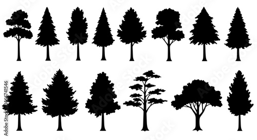 Diverse Tree Silhouettes: A collection of various tree silhouettes is presented, offering a versatile range of options for any design endeavor.