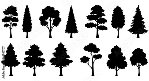 Silhouetted Tree Collection: A diverse set of silhouetted trees stands in stark contrast, ready to bring the elements of nature and growth to your artistic vision.