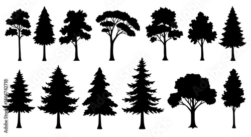 Silhouette Tree Collection: A collection of diverse silhouettes of various tree species, each meticulously crafted to embody the unique essence of nature.
