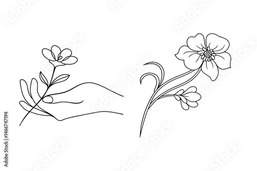 Elegant black and white line art of delicate flowers with a hand holding a bloom and blossoms