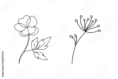 Minimalist floral line art featuring two delicate botanical illustrations for design and decorative purposes
