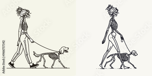 Female Skeleton with Messy Bun Walking Dog. girl bun Outline Clipart ink line art doodle vector illustration. Bone woman in disarrayed chignon strolling canine companion figure.