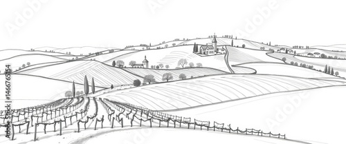 Simple pencil sketches of European vineyard & farm landscapes; rolling hills, vines, fields Ideal for print, web, apparel, rural, pencil