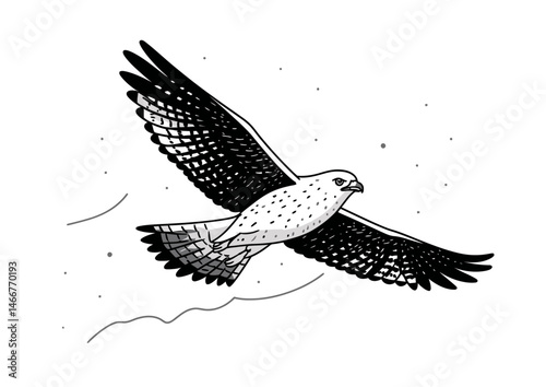 Falconer releasing a bird, majestic vector illustration with outstretched wings, wind motion lines