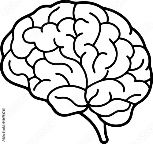 Human brain anatomy outline vector illustration line art