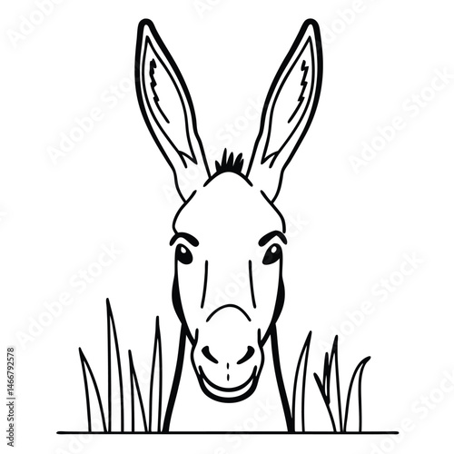 head of a donkey