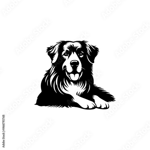 black and white dog vector