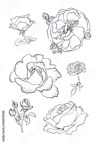 Different classic roses hand drawn coloring page vector