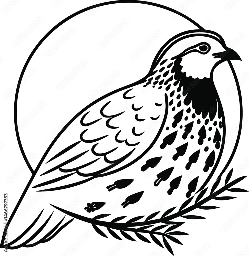 Fototapeta premium dove on white background