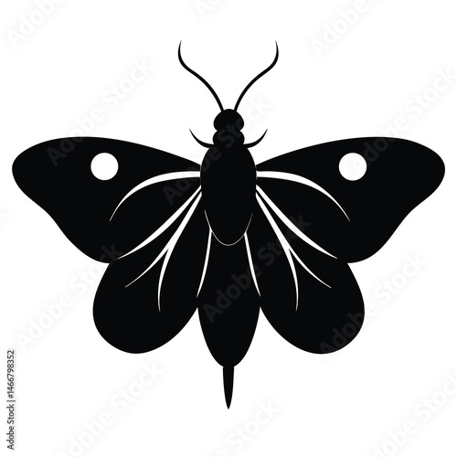 vector illustration of a fly