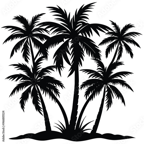 palm tree silhouette