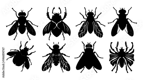Insect Silhouette Vector – Black Winged Bug Illustration with Clean Lines and High Contrast
