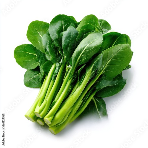 Fresh bok choy vegetable isolated on white background