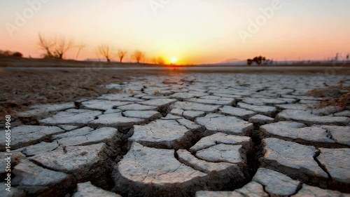 Cracked earth under a vibrant sunset with barren trees in the background, symbolizing drought and environmental change