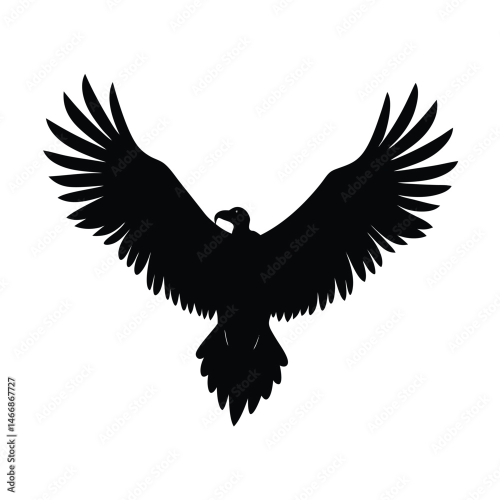 Obraz premium Flying Vulture Wings Vector Art