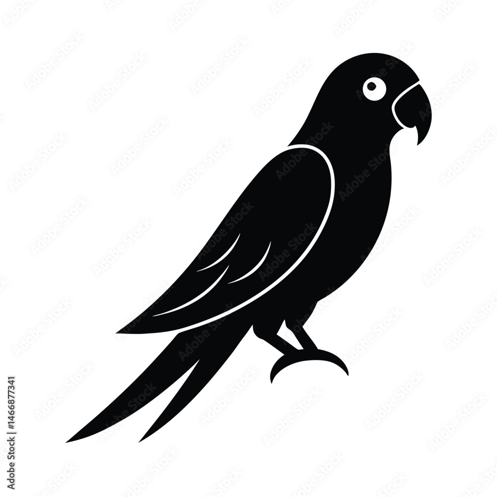 Fototapeta premium Perched Parrot Beak Vector Art