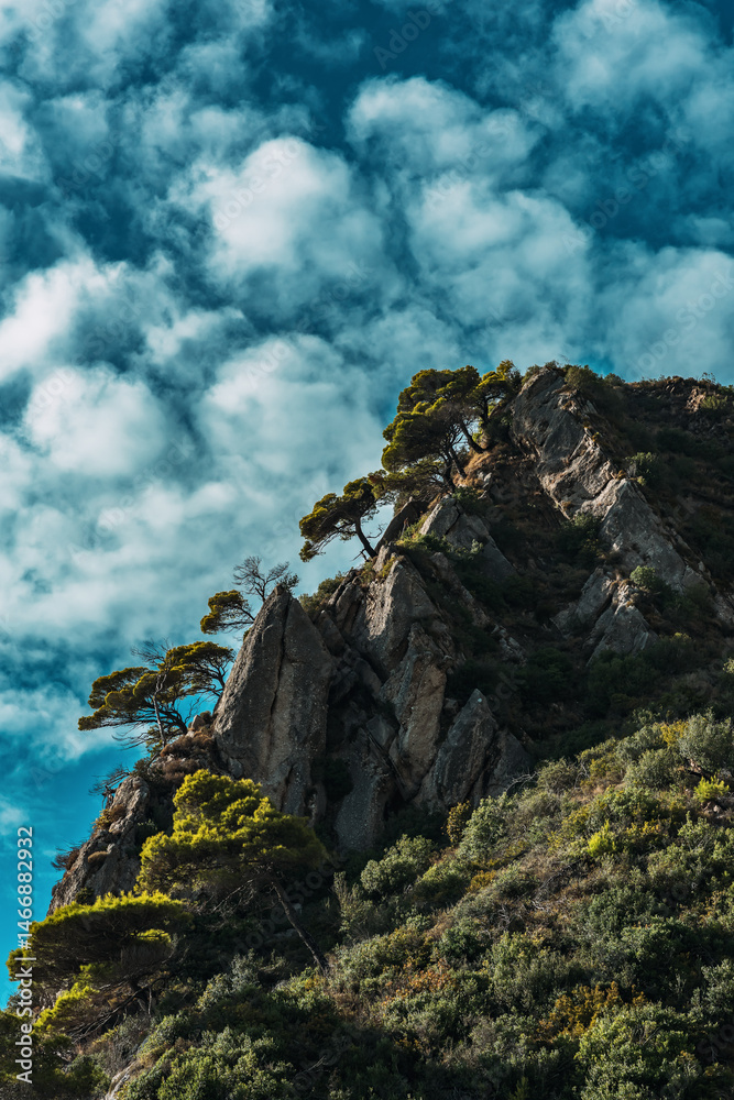 Rocky slope with green vegetation pine trees under blue sky with fluffy clouds.