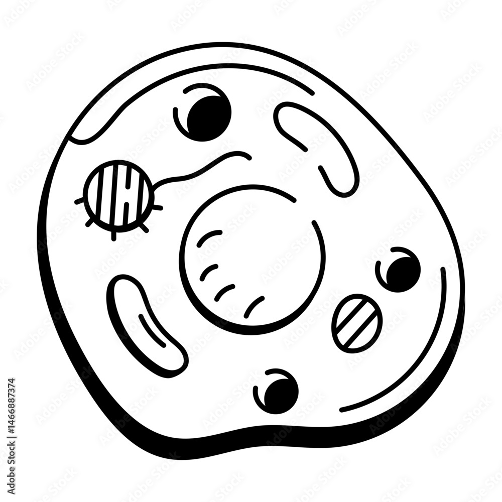 Fototapeta premium A hand drawn style icon representing animal cell structure 