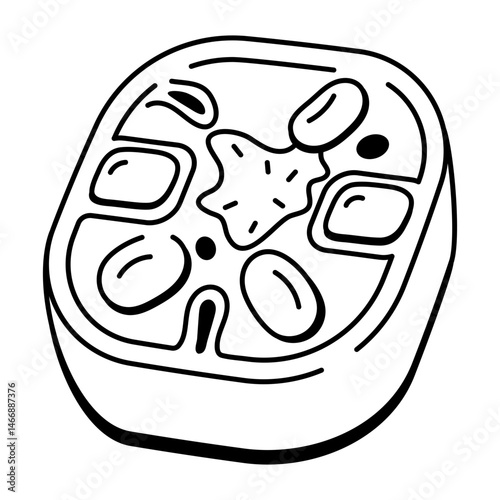 A doodle style icon showing chloroplast structure in cells
