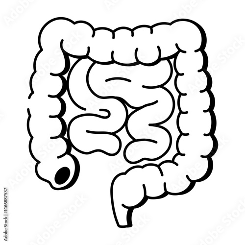 A doodle style icon showing the human intestines 
