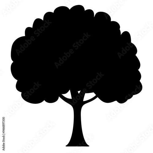 Detailed silhouette of a mature tree with broad rounded crown shape