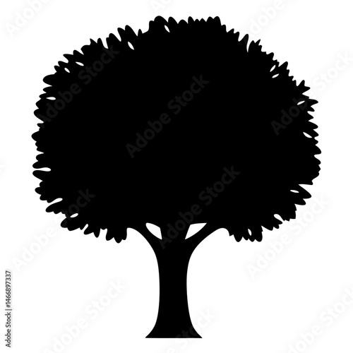 Silhouette of a full lush tree with a broad crown in black
