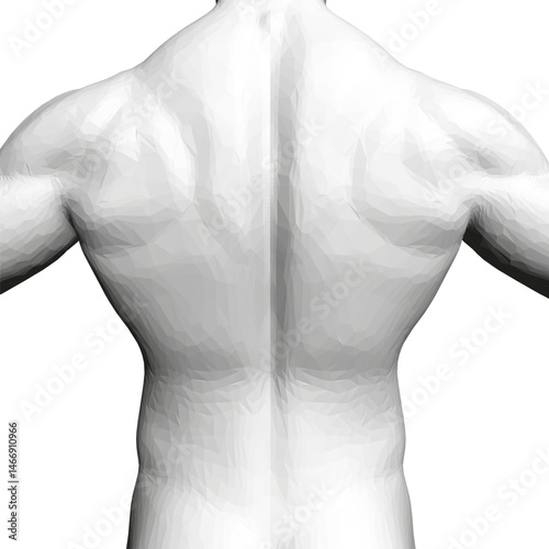 A man's back is shown in a white and black color scheme. The image is a close up of the man's back, with the focus on his muscles. Concept of strength and power